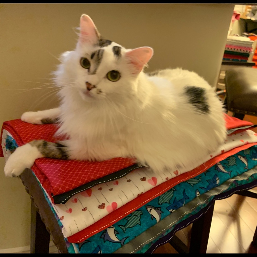 Pet mats! These are the large deluxe ones!